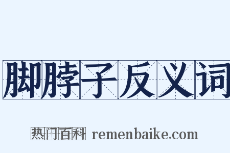 脚脖子反义词是什么意思的图片